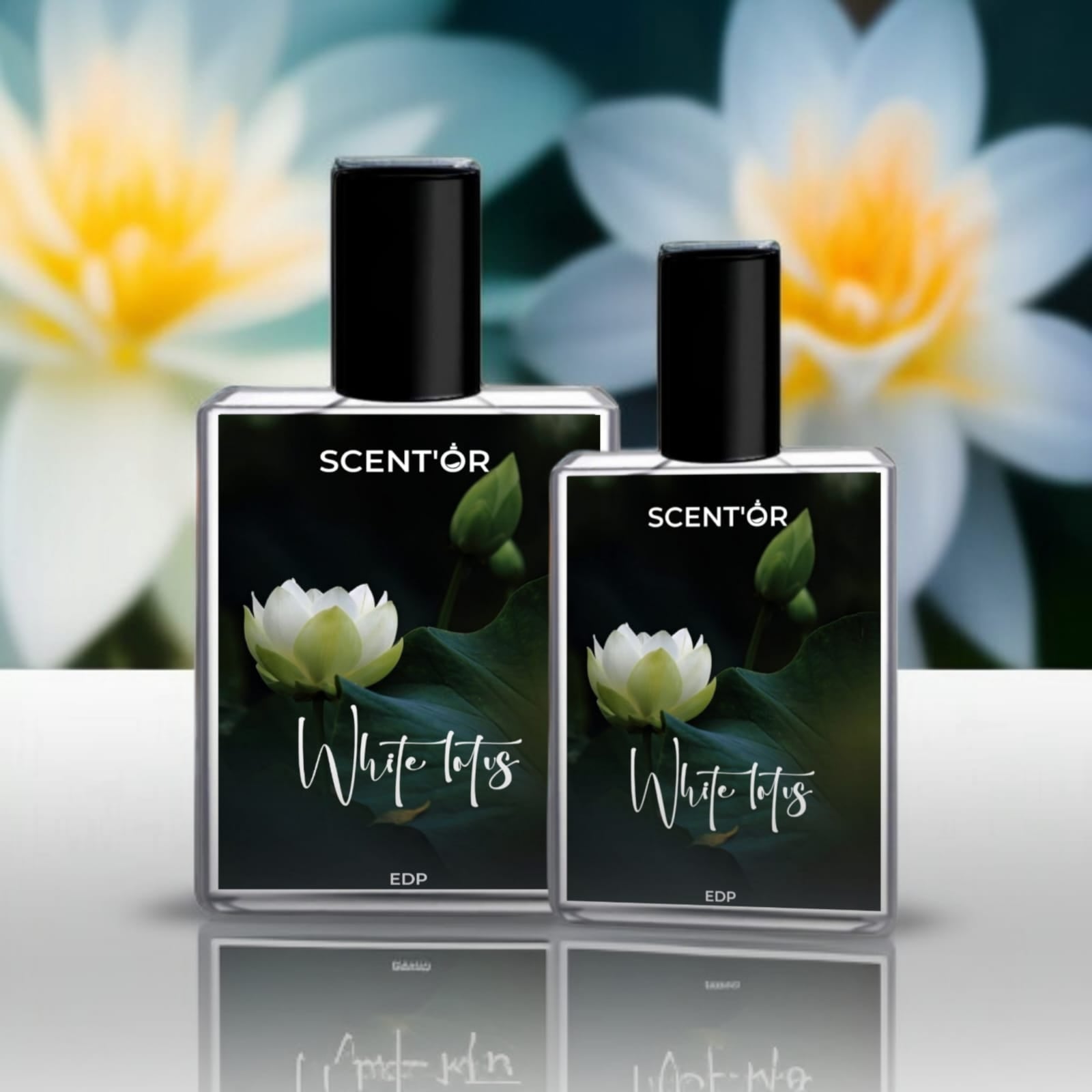 WHITE LOTUS